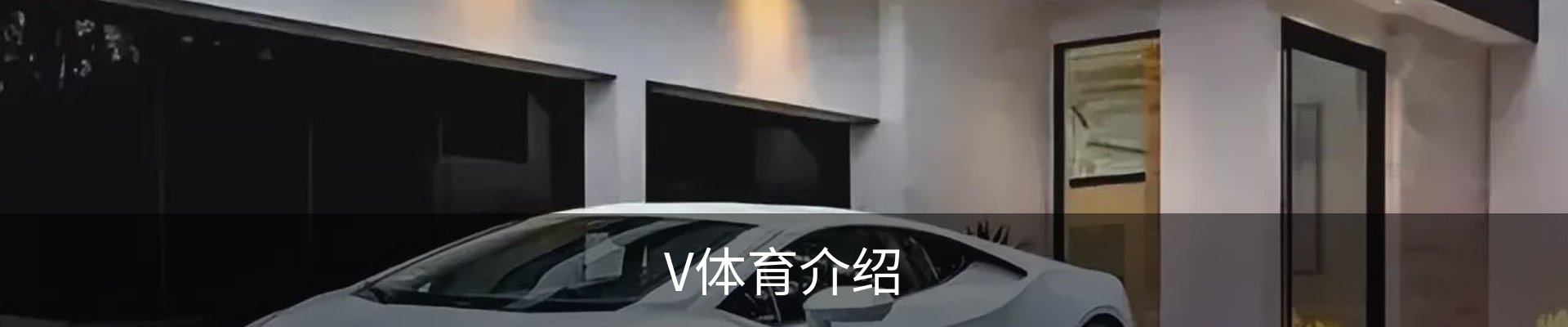 V体育介绍